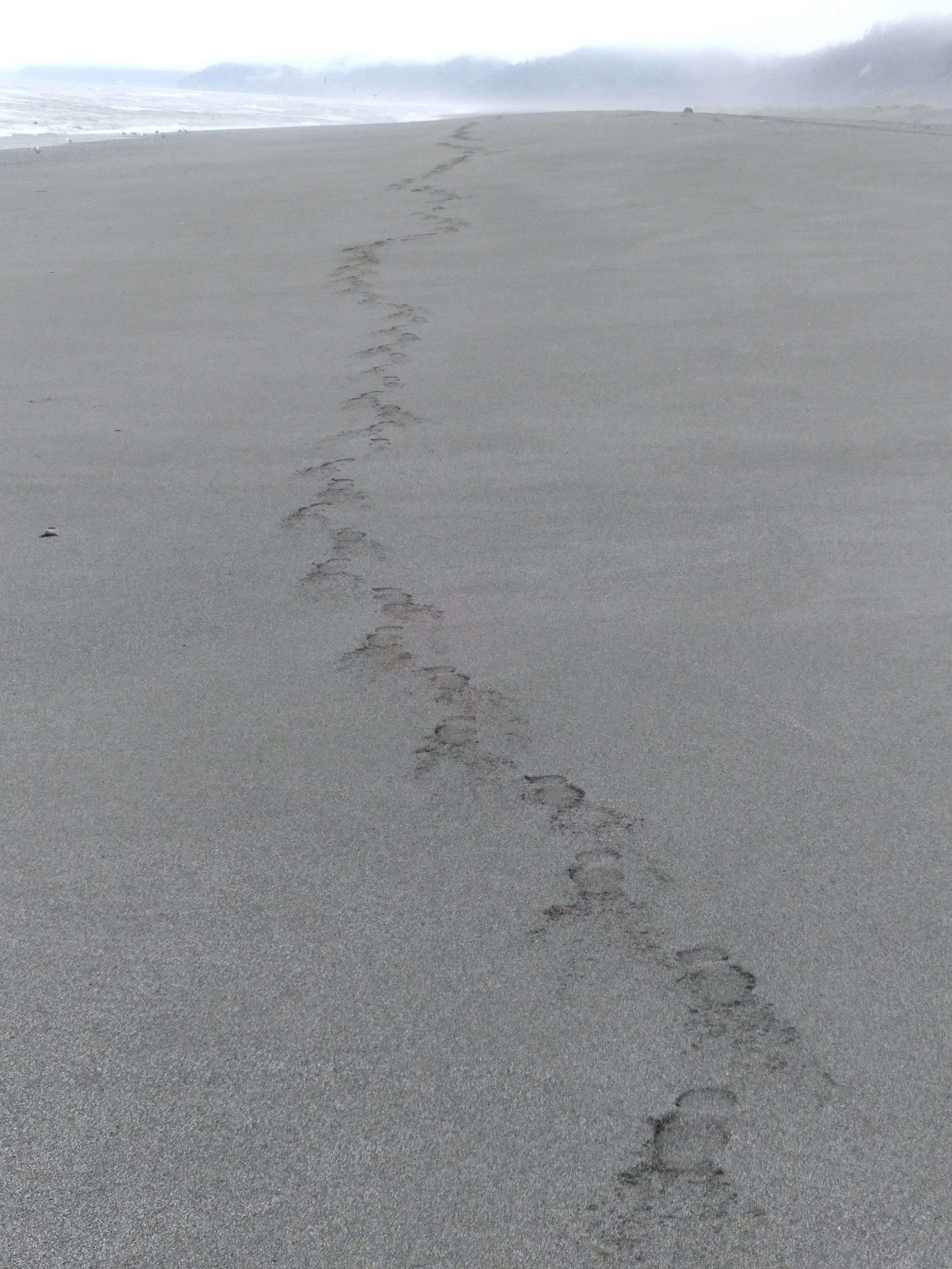 Footsteps