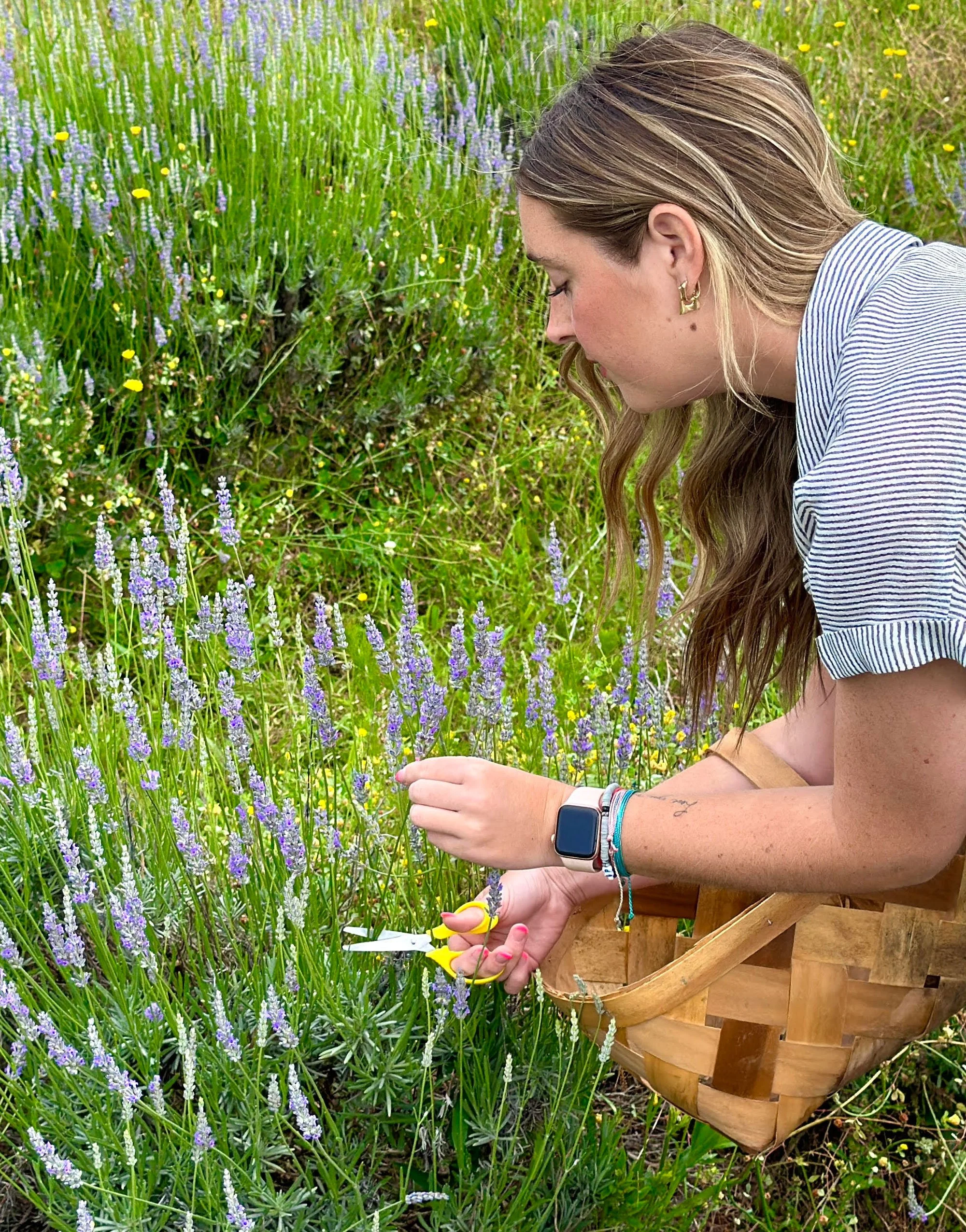 Twin Creeks Lavender Farm
