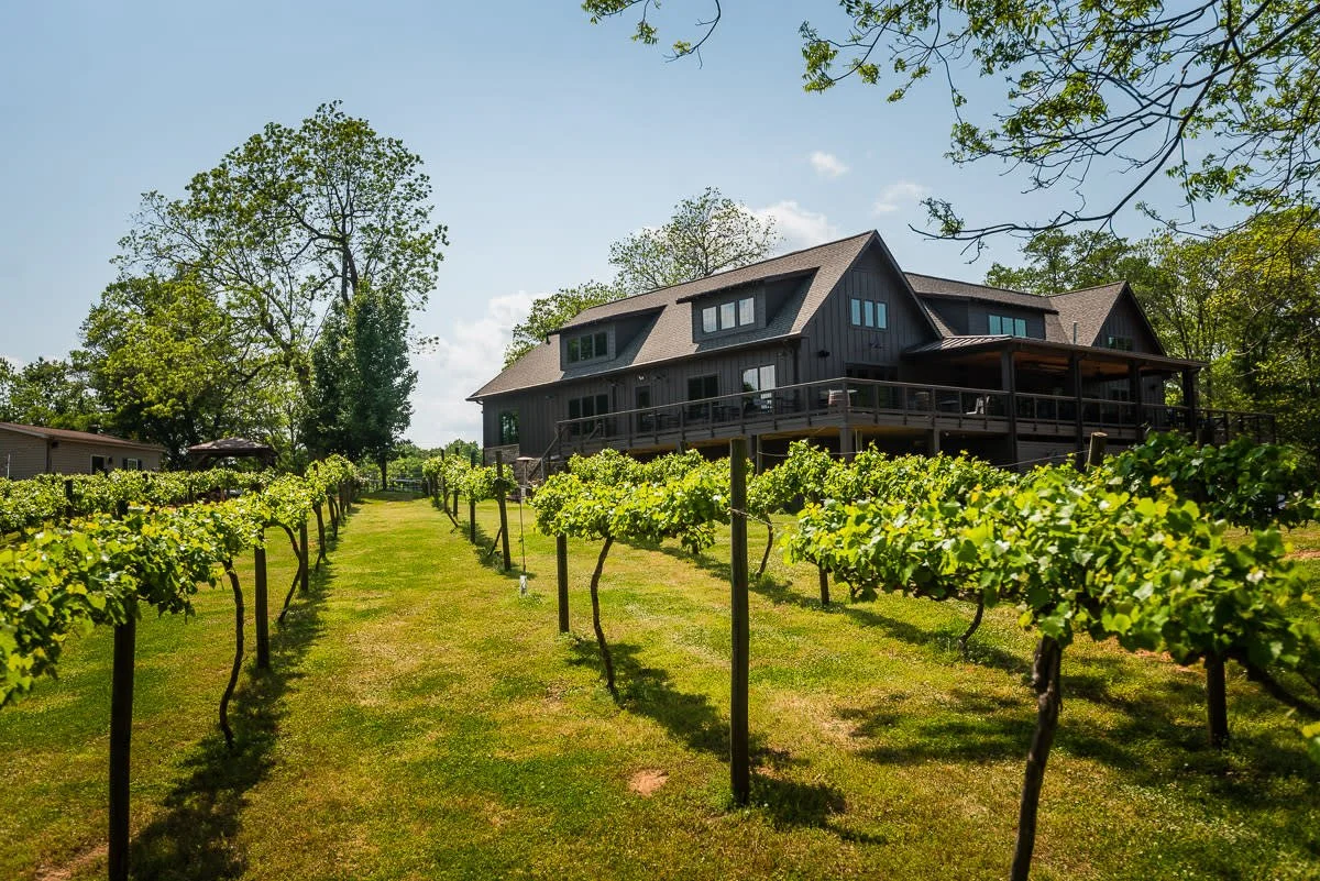 City Scape Winery Fall Festival