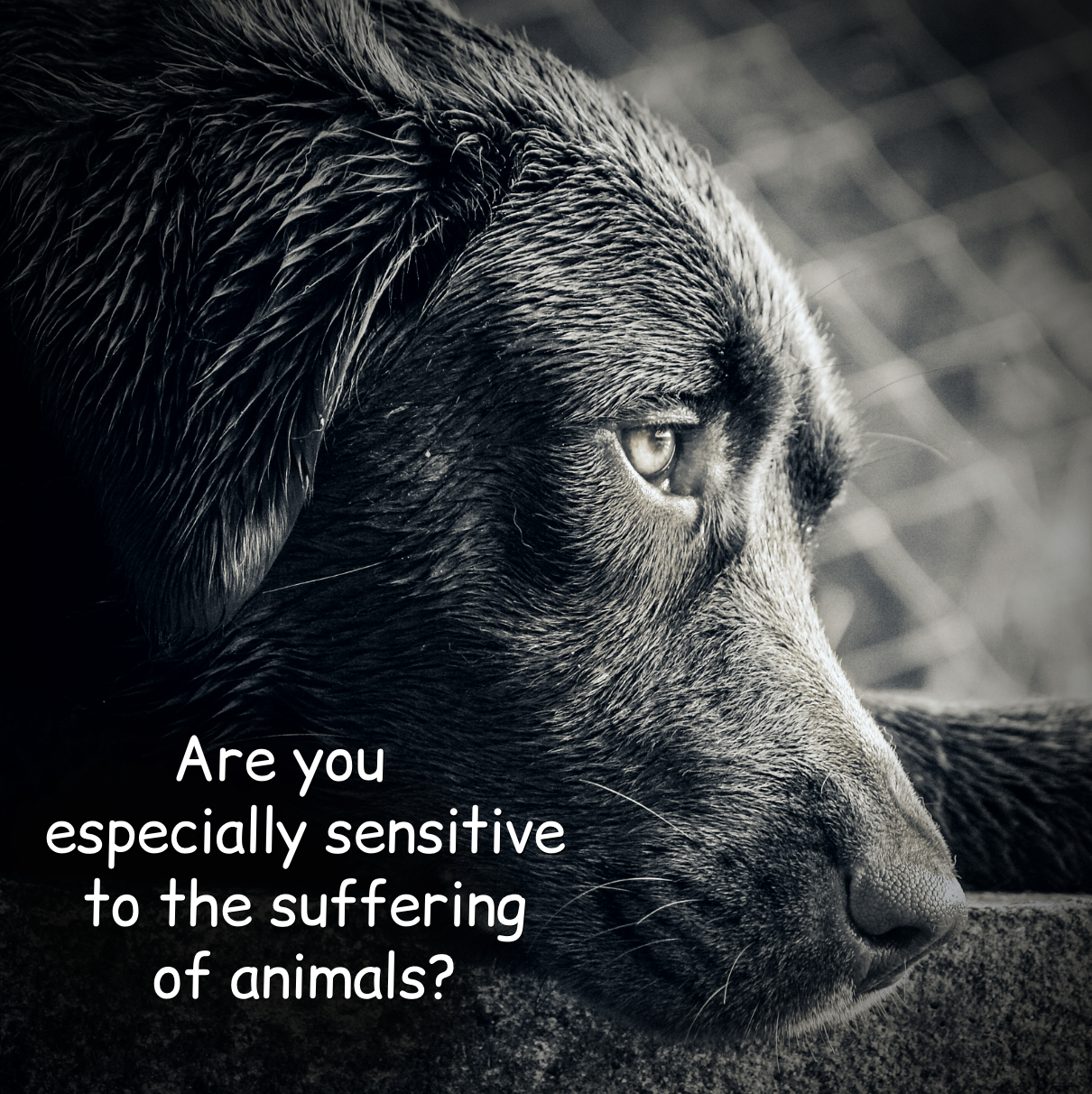 Screen Shot 2022-05-05 at 1.23.51 PM.png