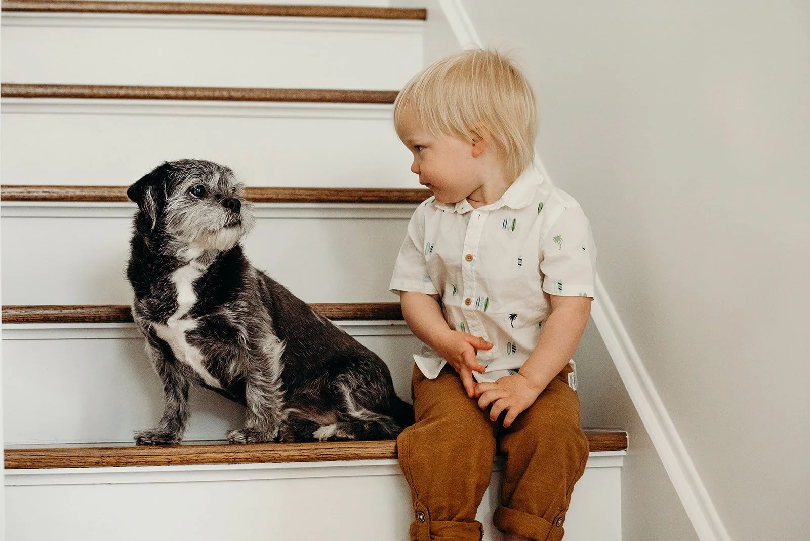 A young boy and a puppy sitting on staircase steps indoors