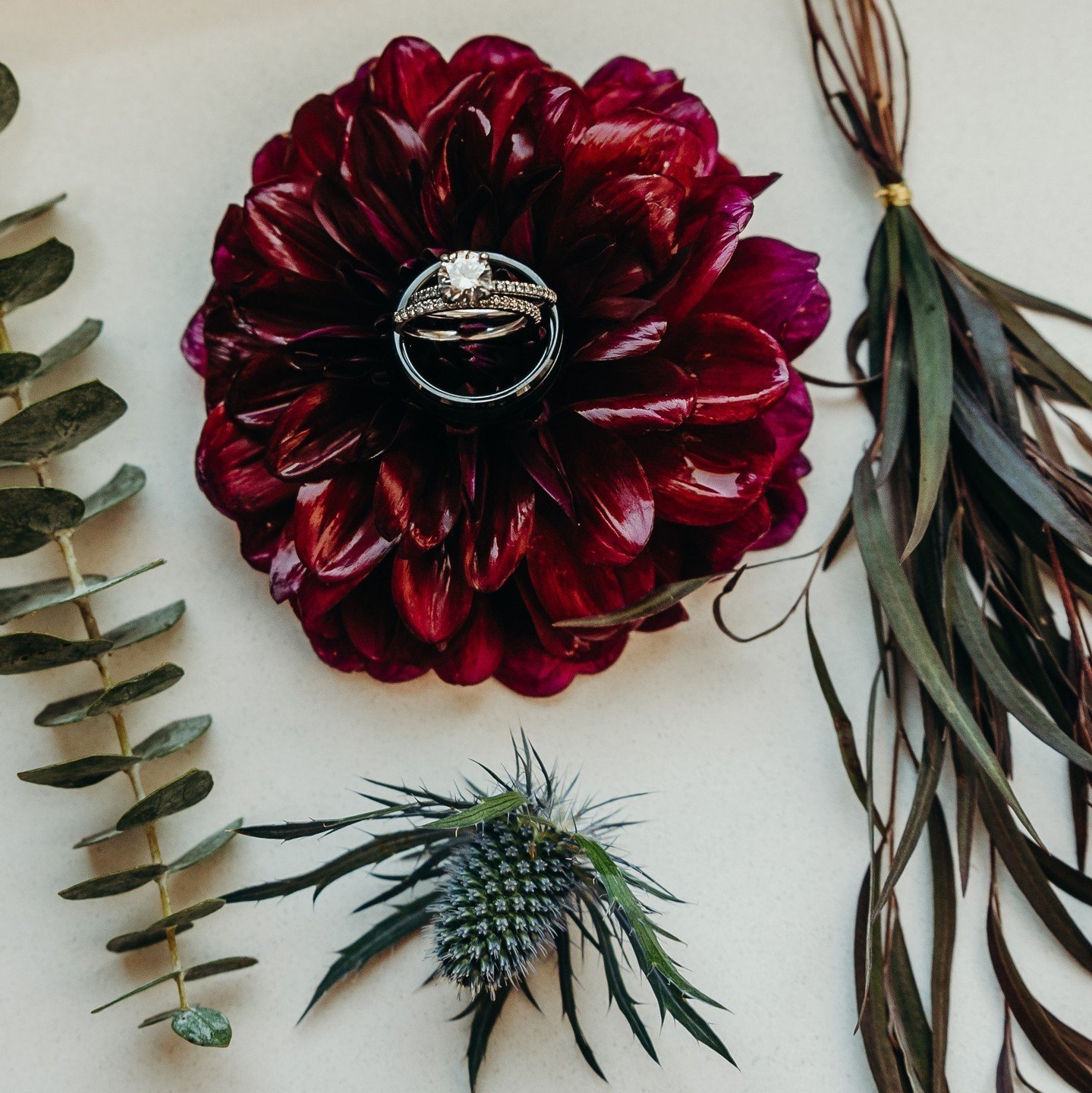 I&rsquo;ve got sunshine&hellip; on a cloudy day. 

It&rsquo;s been a bit gloomy here in the Midwest lately, hasn&rsquo;t it? 

What is not gloomy however is that recently I added a new all-day coverage collection to my wedding coverage! 

Stay tuned 
