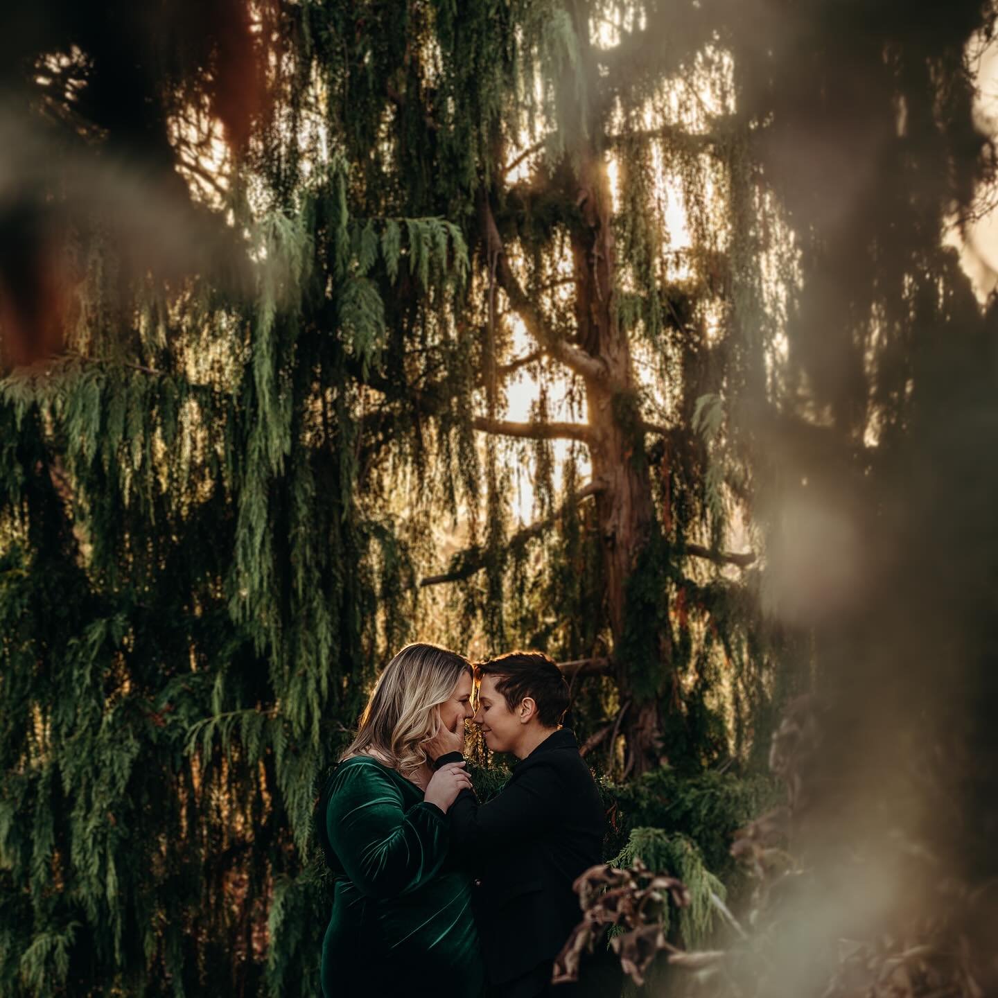 Found these on an SD card not long ago and decided to revisit them (Michelle and Kaitlin, you&rsquo;re more than welcome to the files!) &mdash; can you believe this is #VanderveerPark ? 

😍

&mdash;

Explaining Black Friday Deals: 

This is the bigg