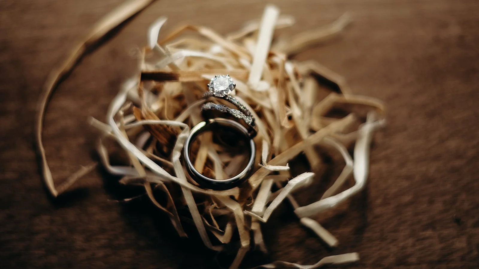 CBPhoto-21_websize (1).jpg