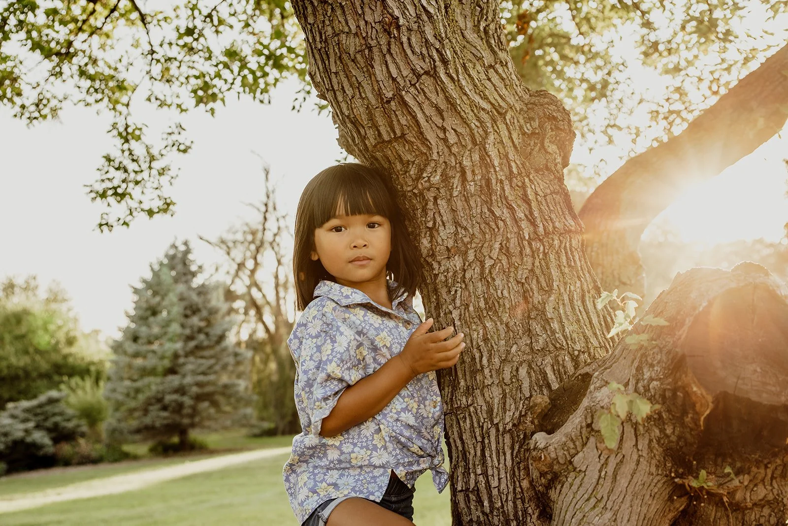 A young girl with straight black hair and bangs, wearing a blue floral shirt, is hugging a large tree in a park during late afternoon sunlight.
