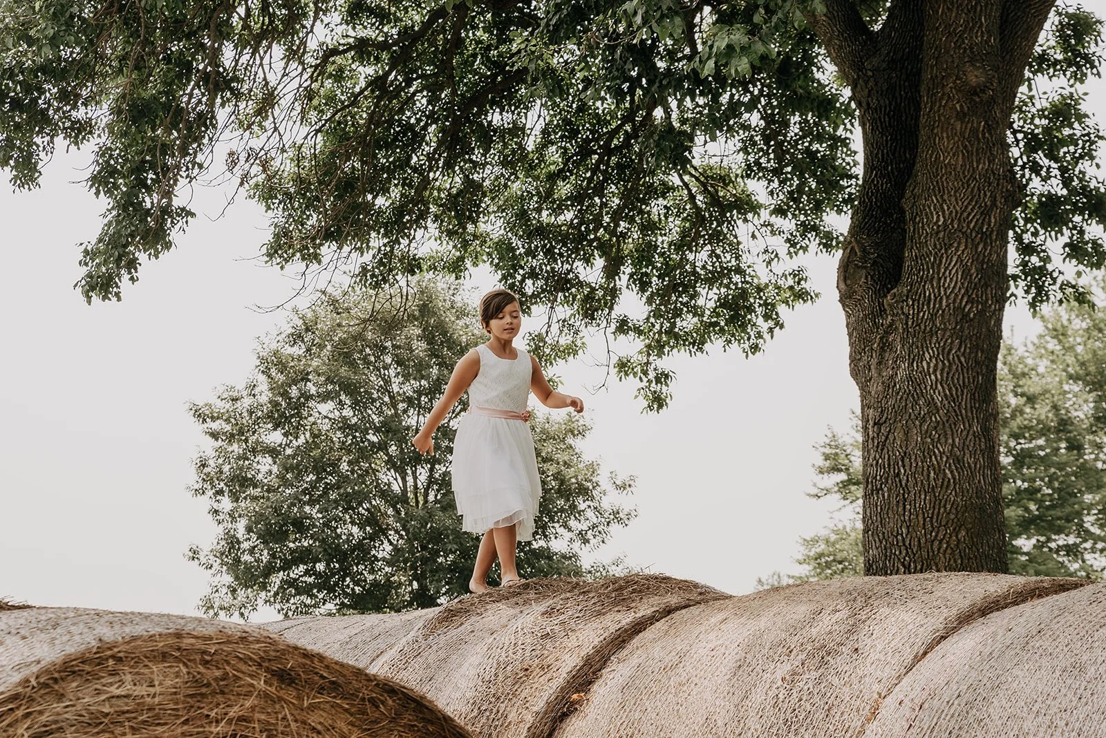 A young girl in a white dress walking on top of large outdoor logs near a tree.