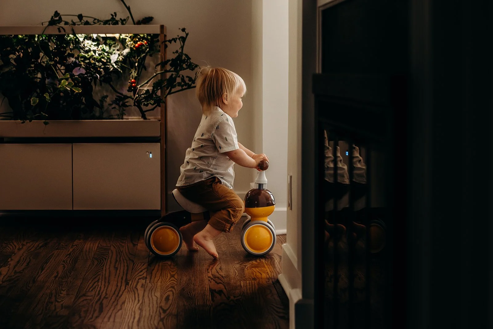 A young child riding a yellow and brown tricycle indoors on a wooden floor, near a white wall and a dark appliance, with a plant or greenery in the background.