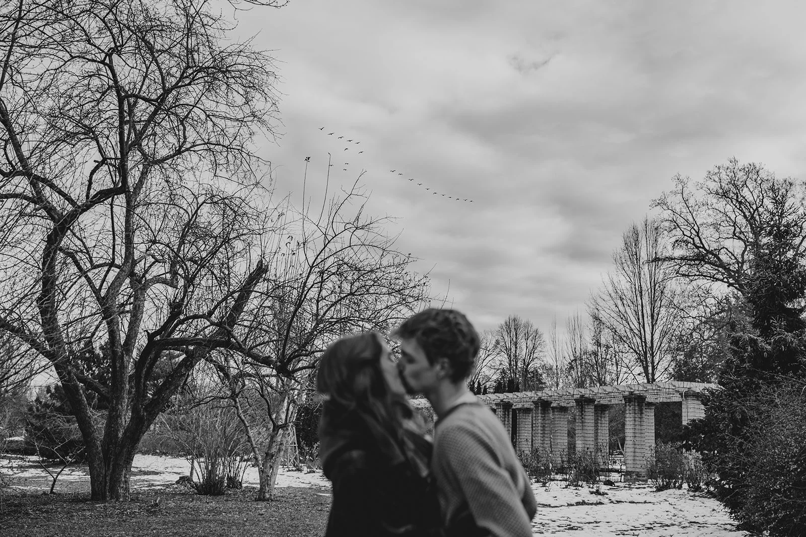 A couple kissing outdoors in a winter landscape with leafless trees, patches of snow on the ground, and a bridge in the background, all in black and white.