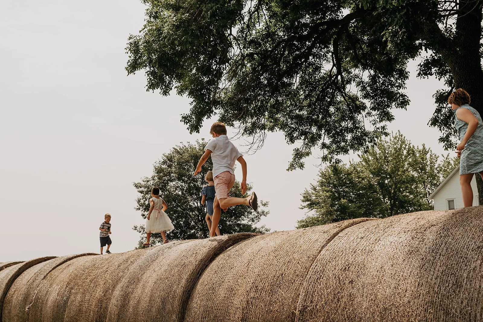 Children playing on a large hay bale outdoors under trees with a house in the background.