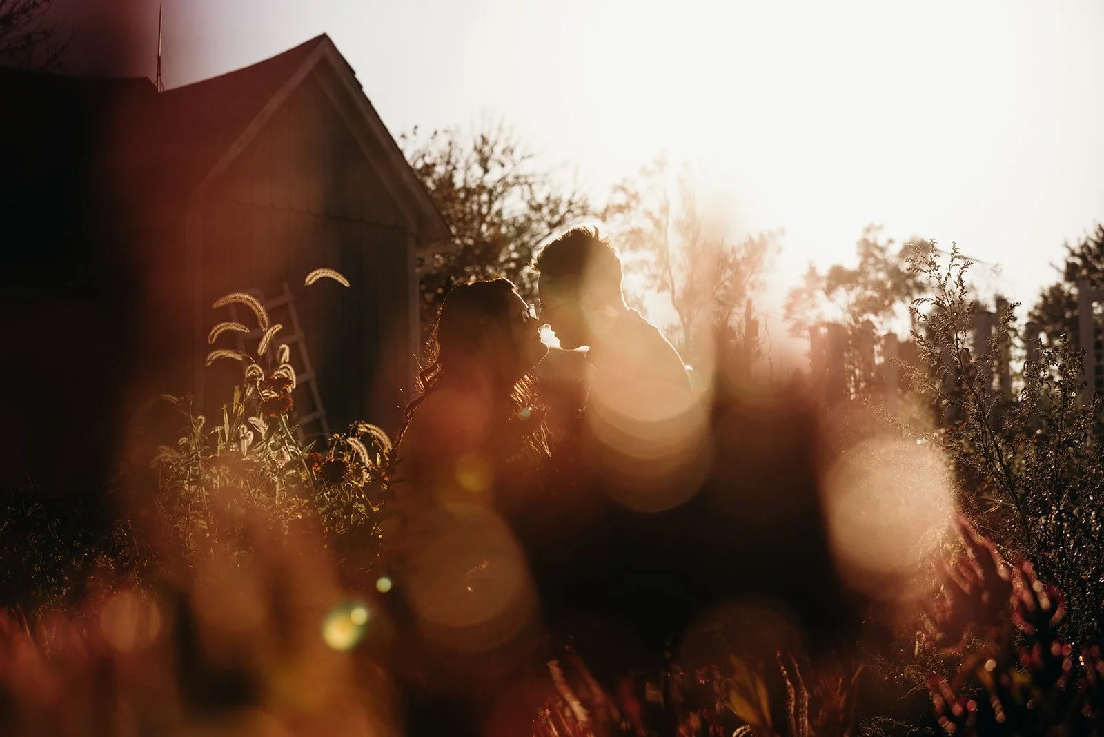 A silhouette of a couple facing each other outdoors during sunset with sunlight creating lens flare and bokeh effects, surrounded by trees and plants.