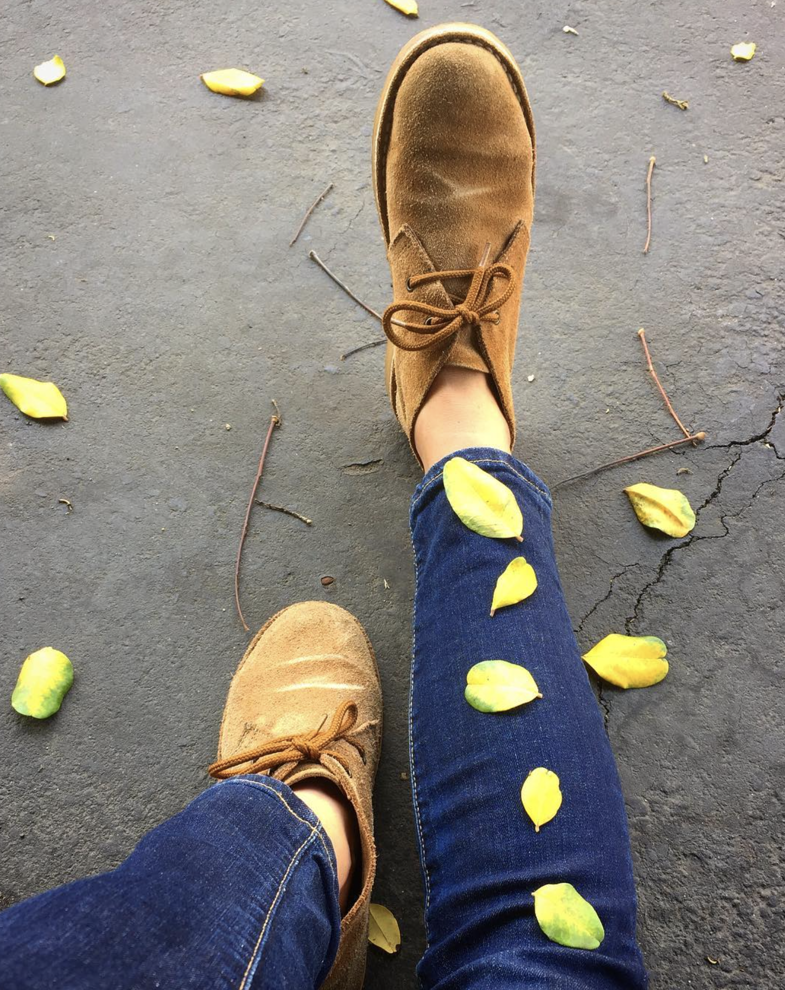 Screen Shot 2022-06-23 at 4.48.57 PM.png