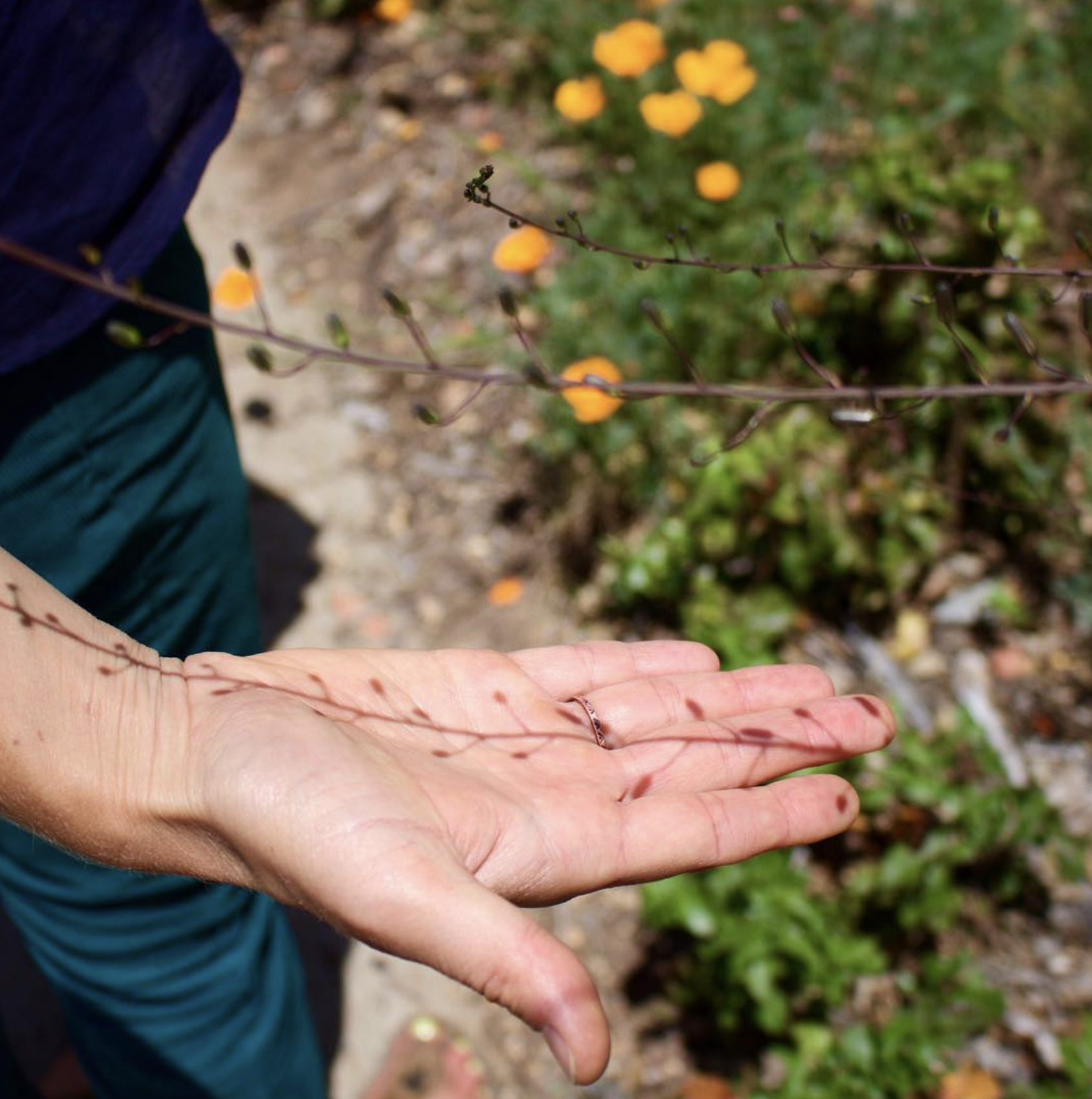 Screen Shot 2022-06-23 at 4.49.16 PM.png