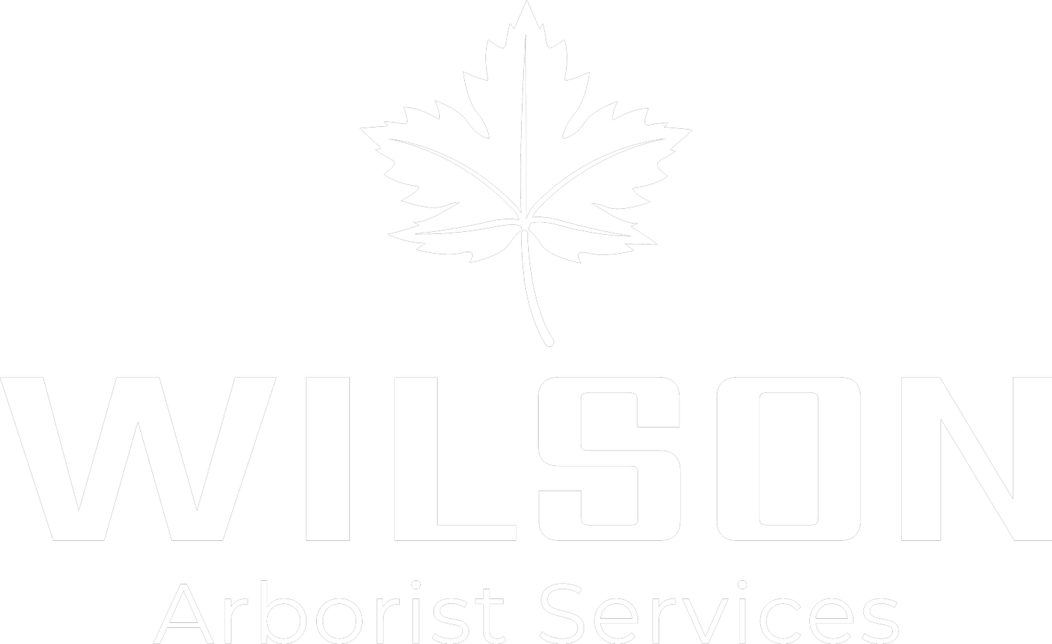 Wilson Arborist Services