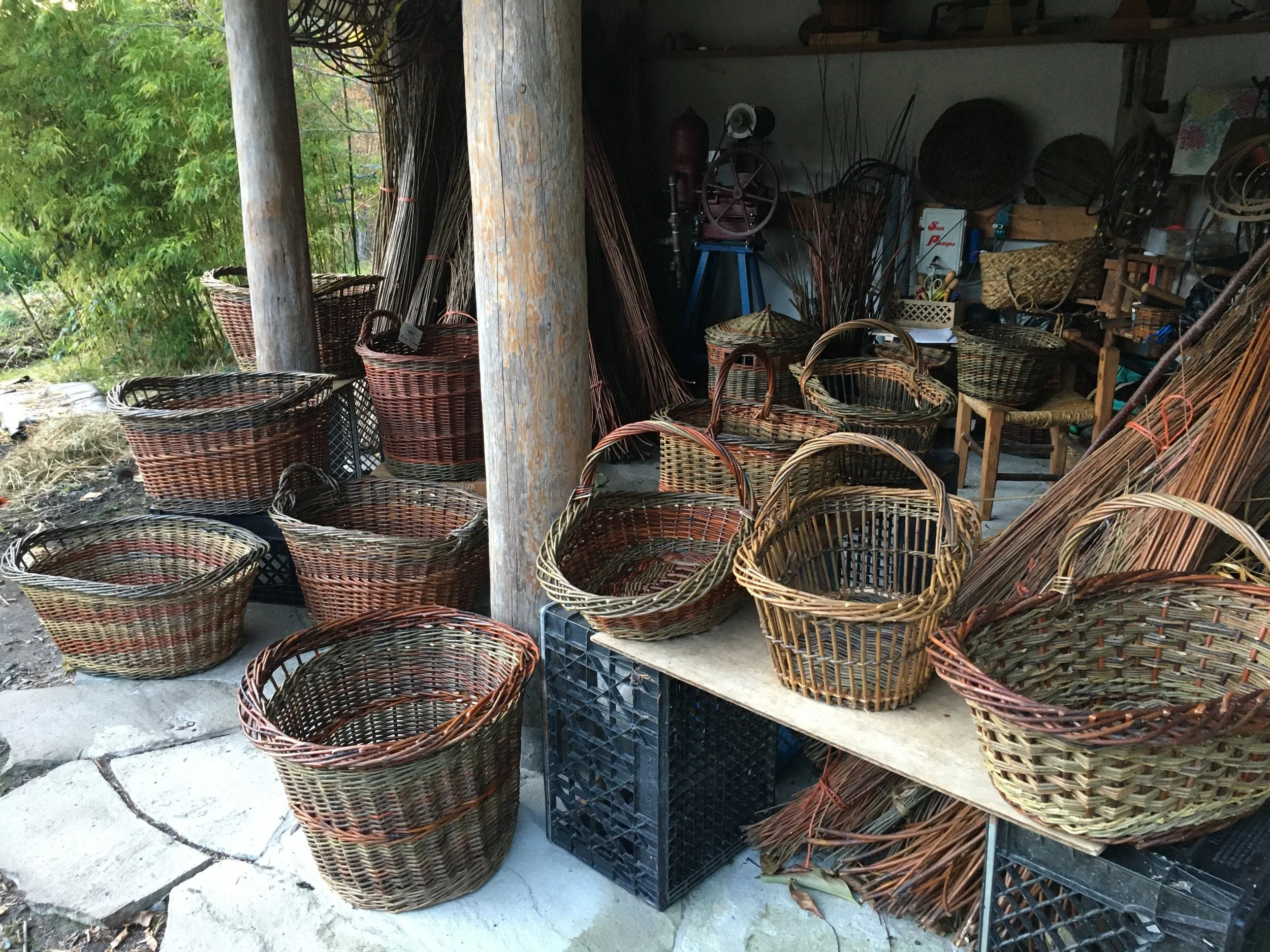 Basketry Maria Bullock Swamp Sticks