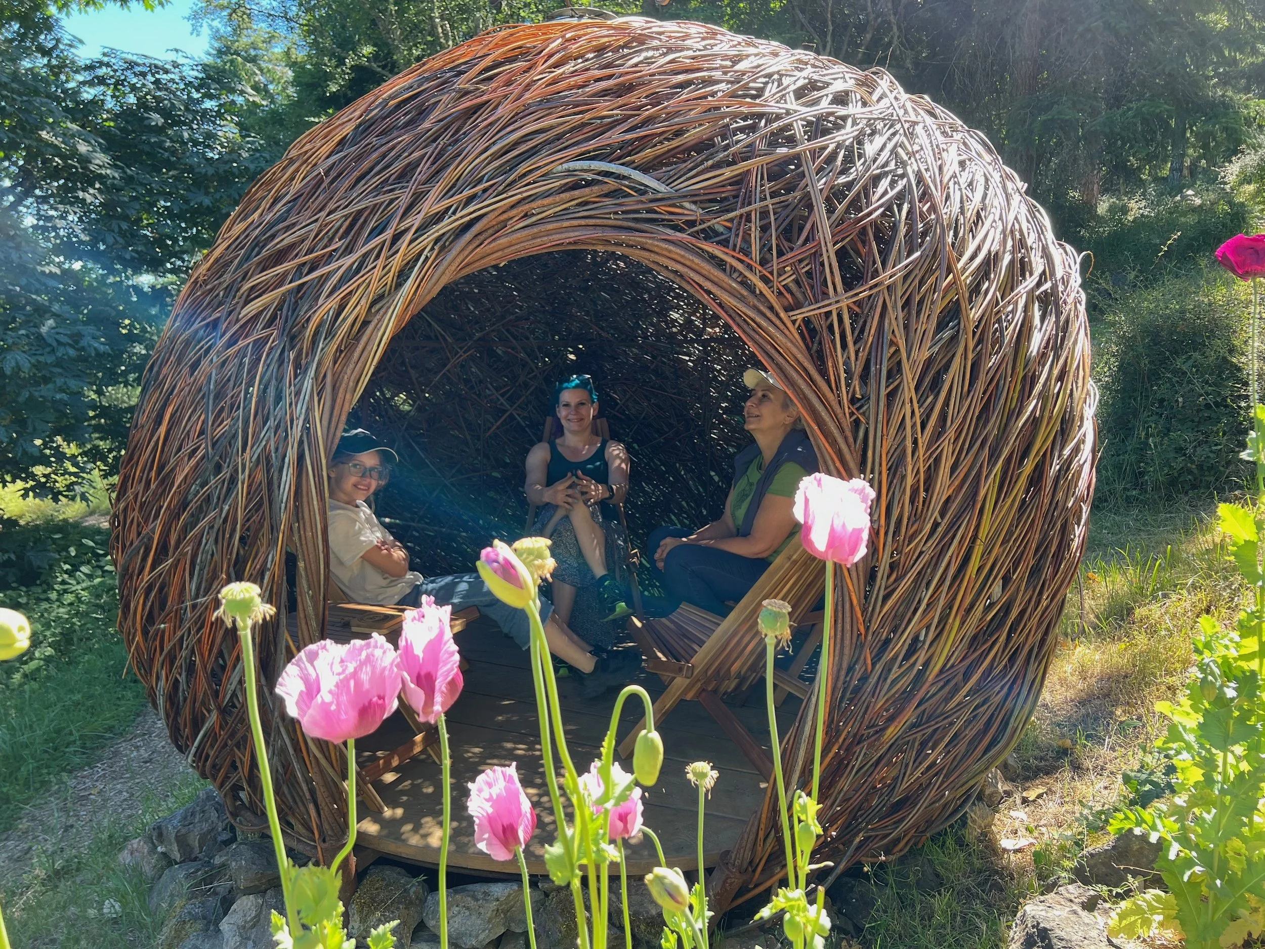 willow dome small.jpeg