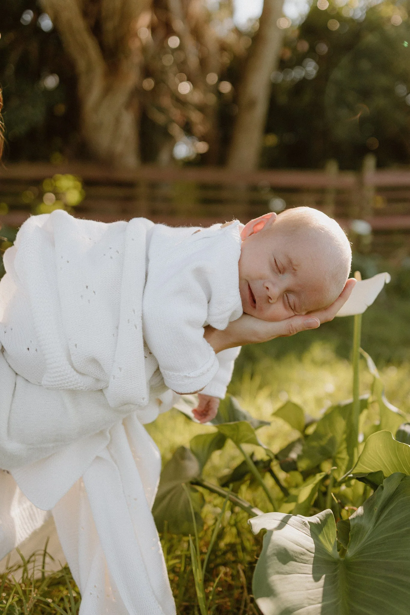 A smiling baby in a white outfit being held by an adult's hand, outdoors among green plants and trees, with sunlight filtering through the foliage.