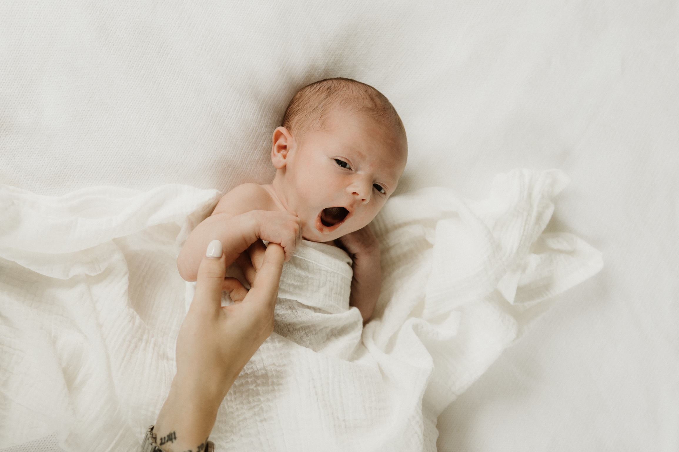 Screenshot 2026-04-17 at 1.41.25 PM.png