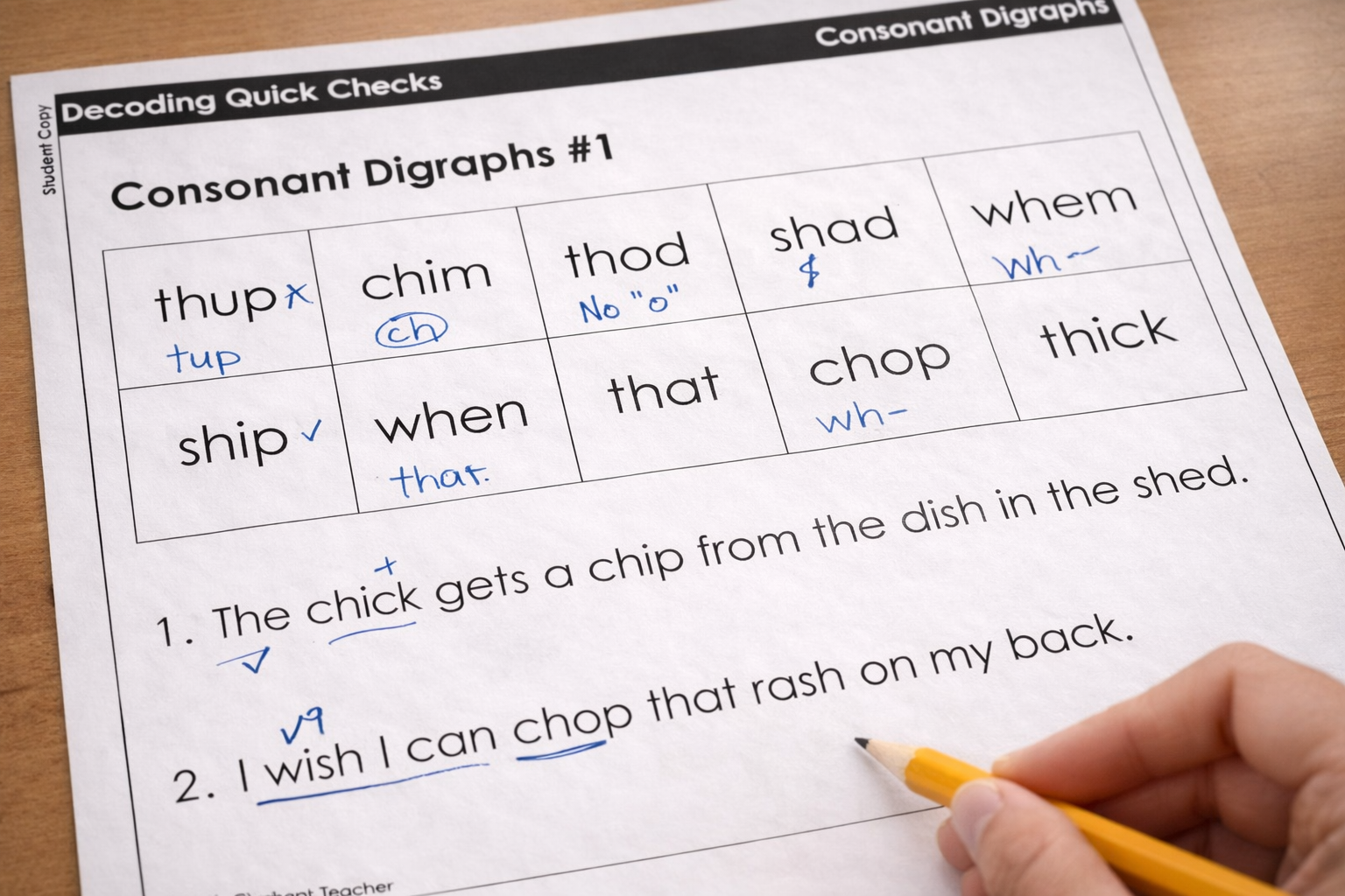 Close-up of student phonics decoding and spelling work with teacher annotations used to analyze reading skill gaps.