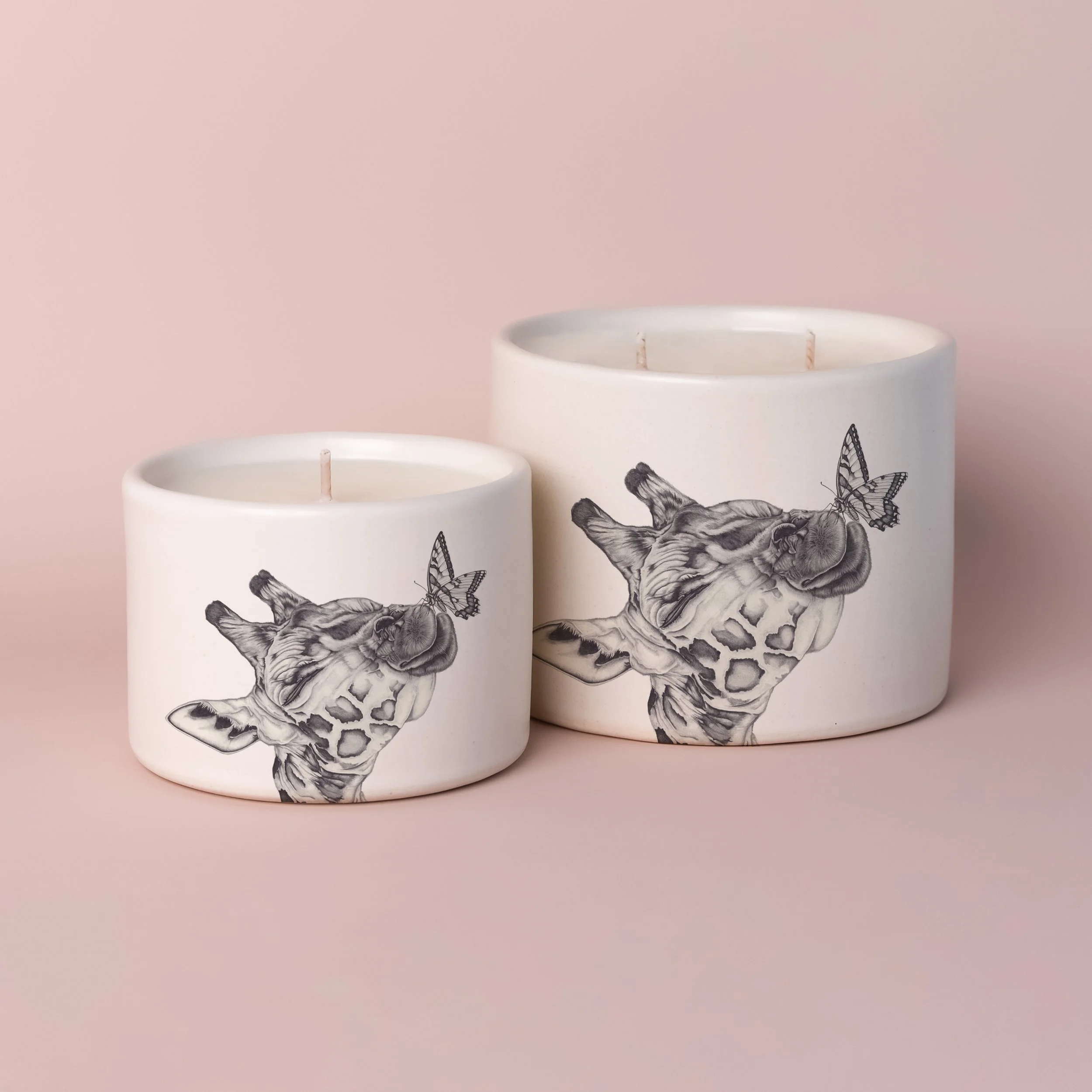FLY-CANDLE-BGROUND.jpg