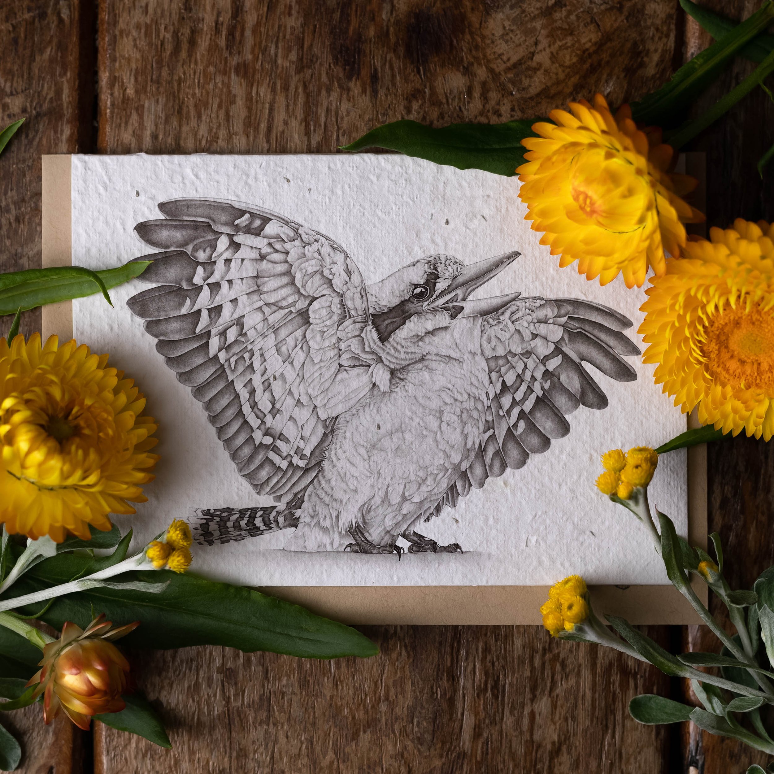 WINGS-PLANT-CARD.jpg