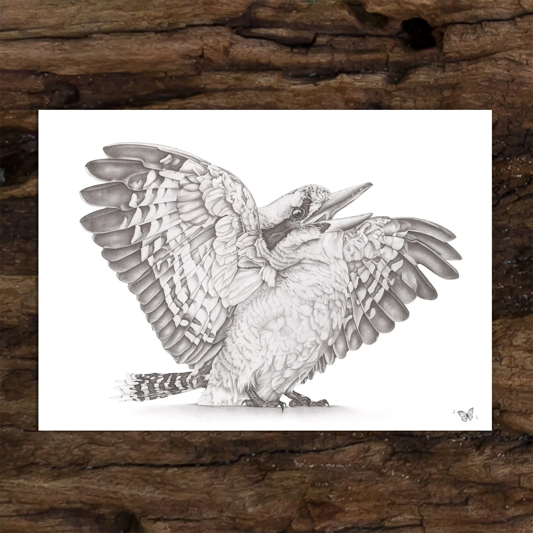 LL_KOOKABURRA_PRINT.jpg