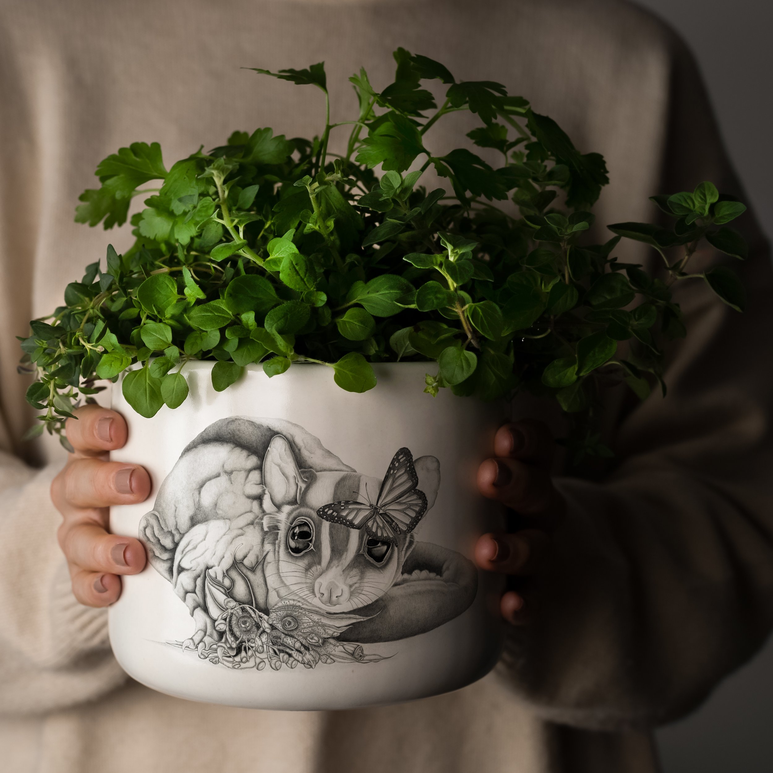 HOME-POT-SML2.jpg