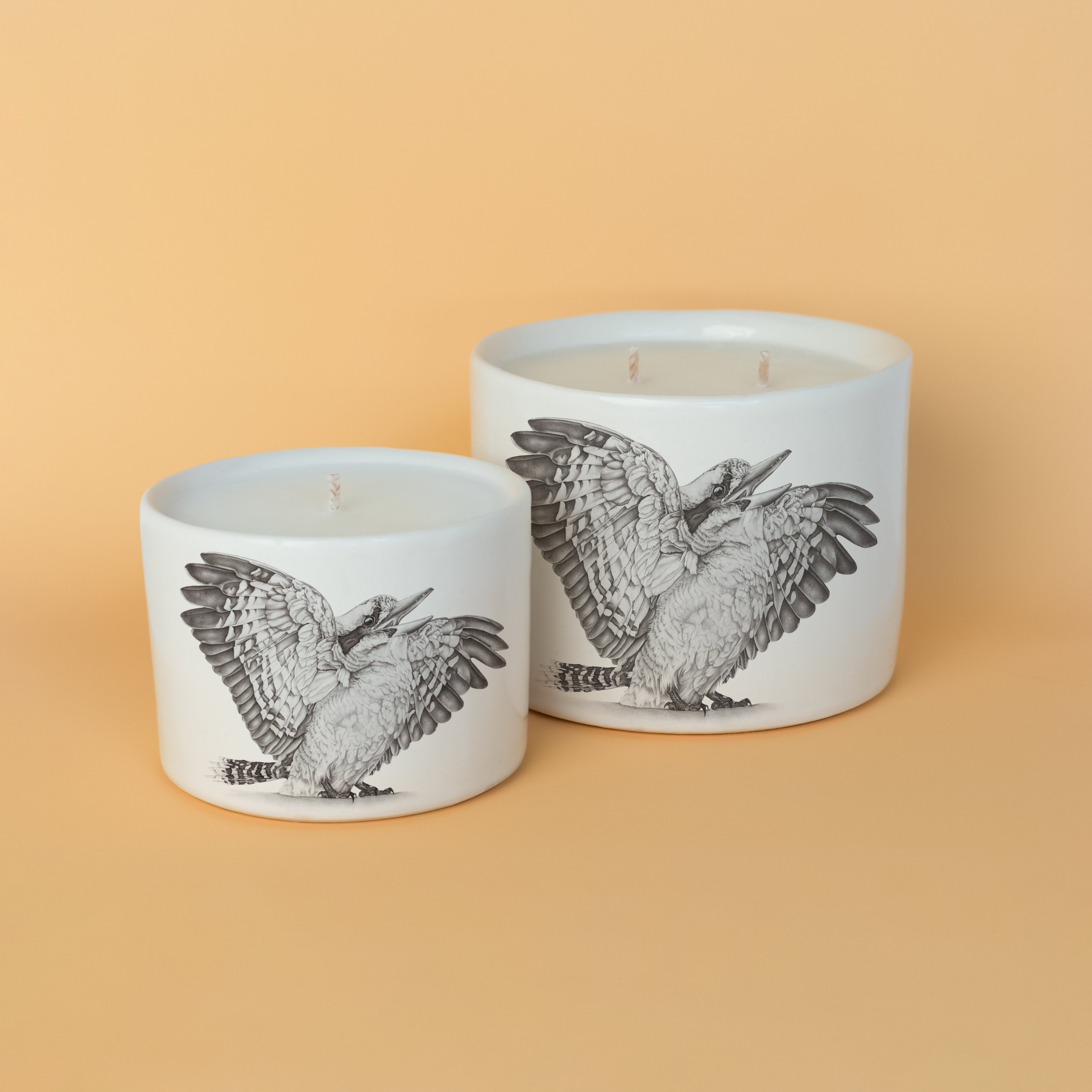 WINGS-CANDLES-BGROUND.jpg