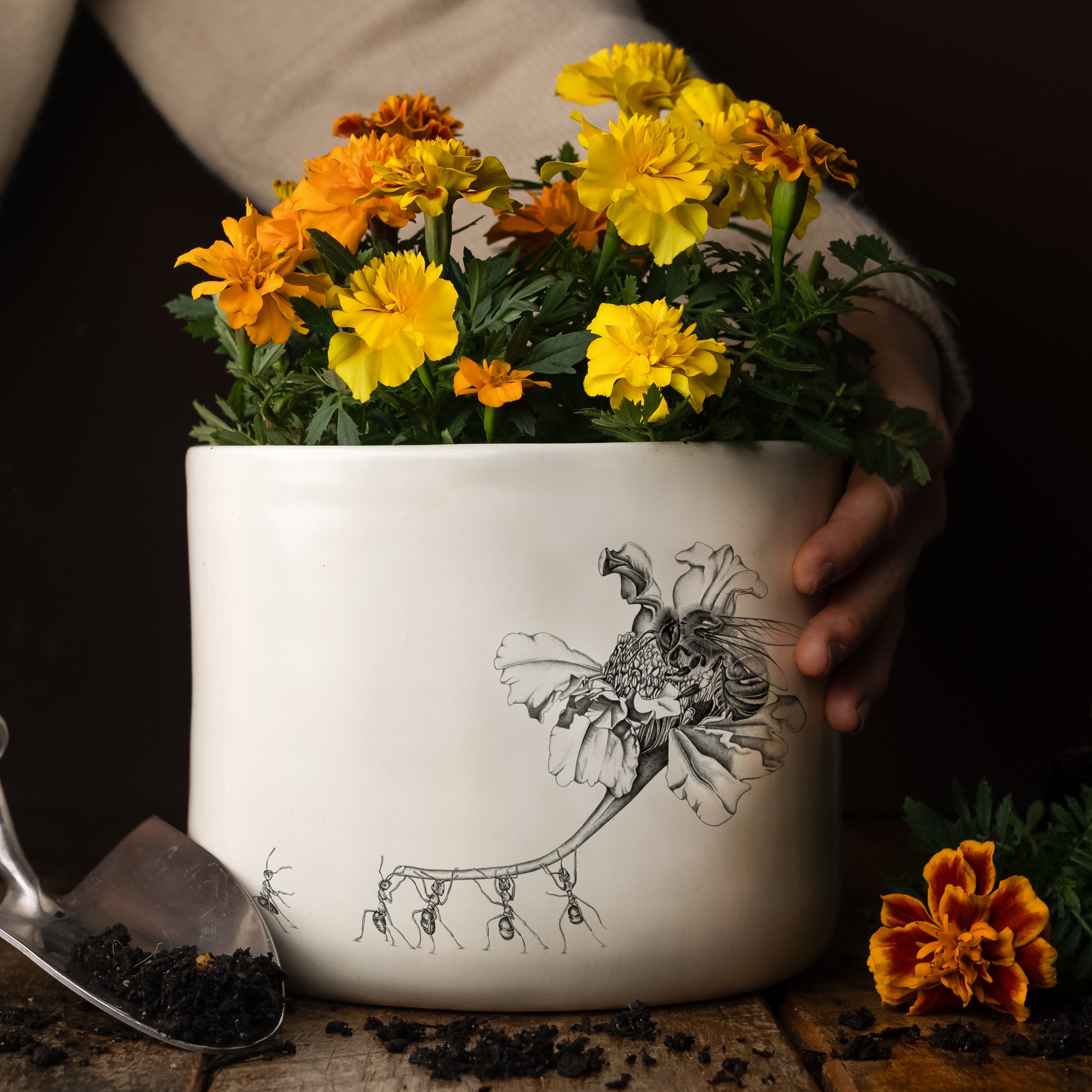 Laura Luke Blossom Ceramic Plant Pot with ivory glaze and hand-drawn ‘Safe to Bee’ artwork