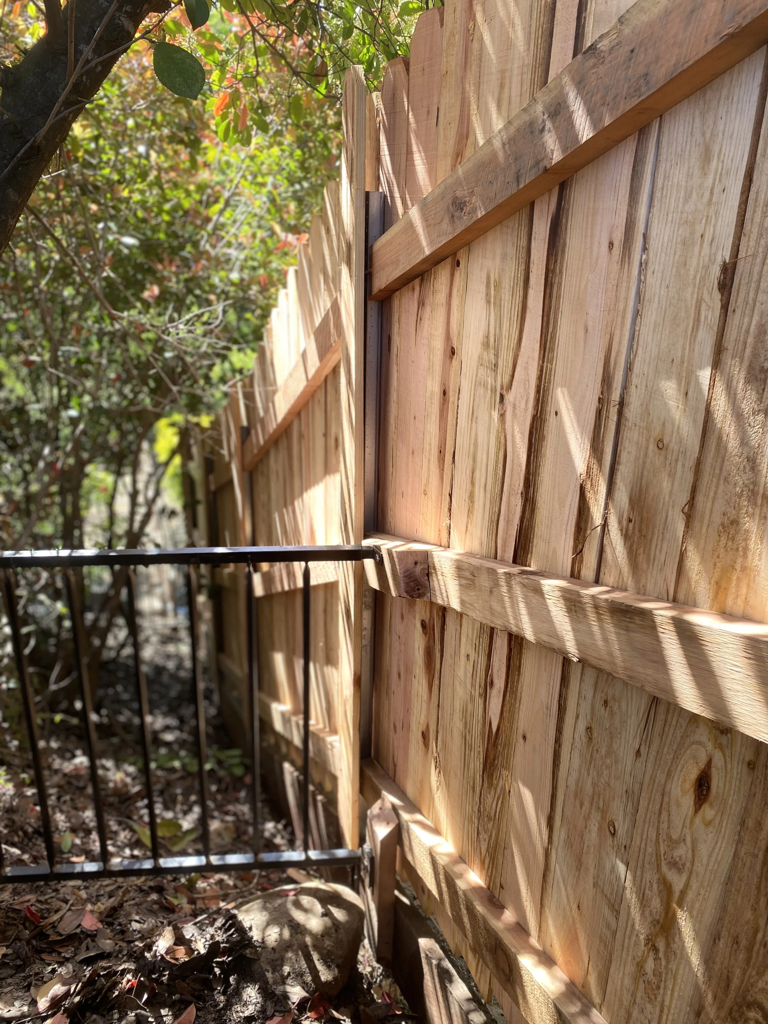 Dorrington Fence Replacement