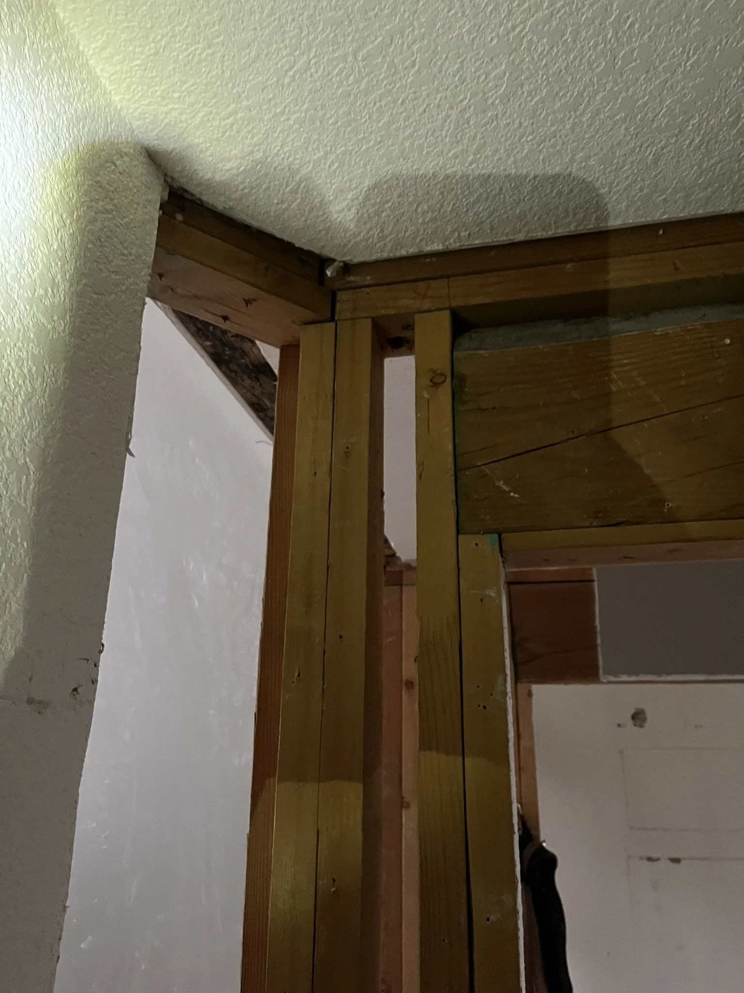 Master Closet Remodel - Framing