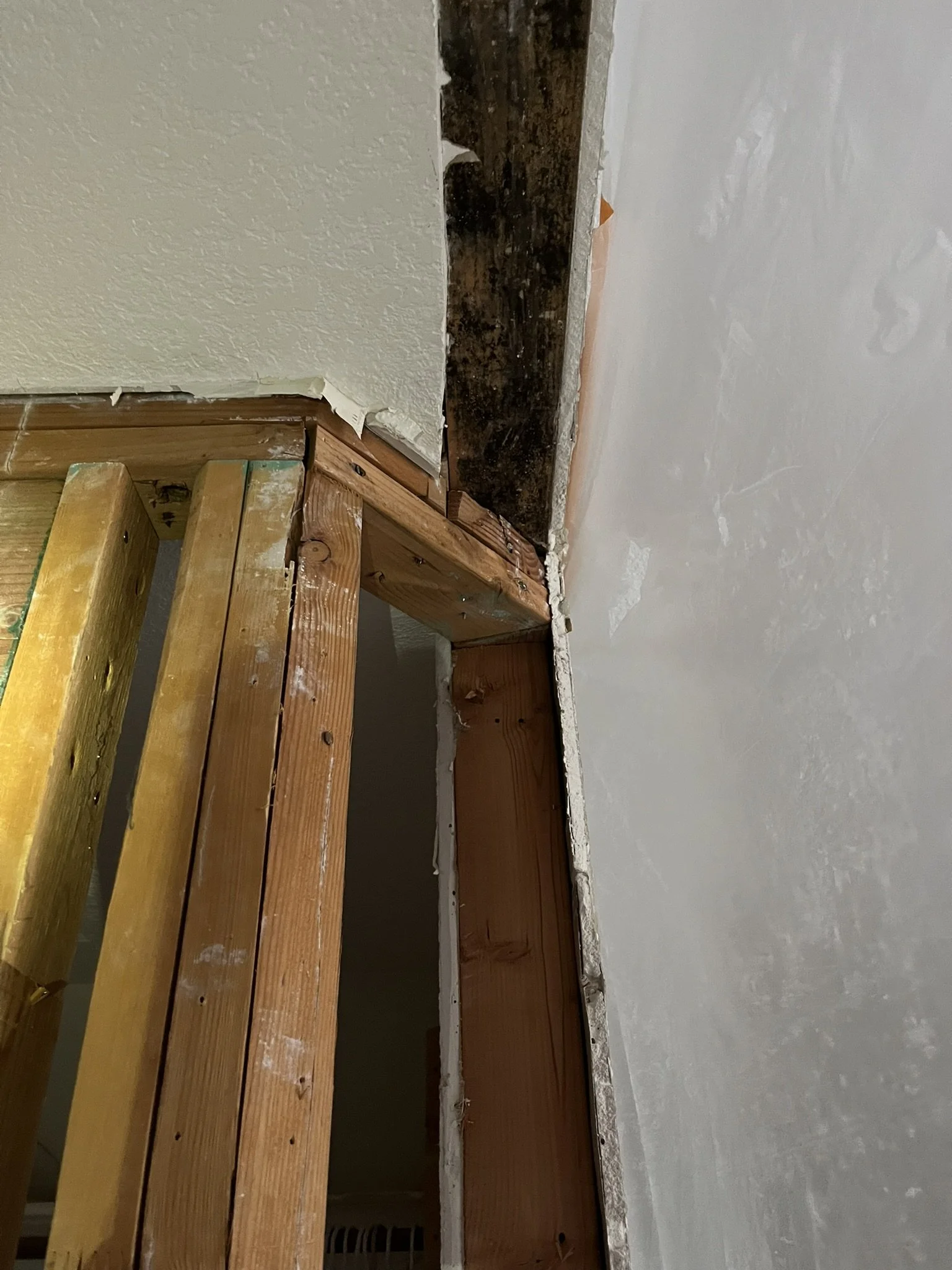 Master Closet Remodel - Framing