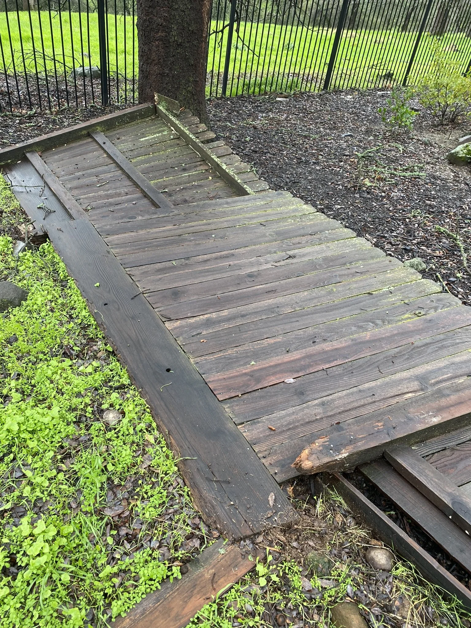 Dorrington Fence Replacement