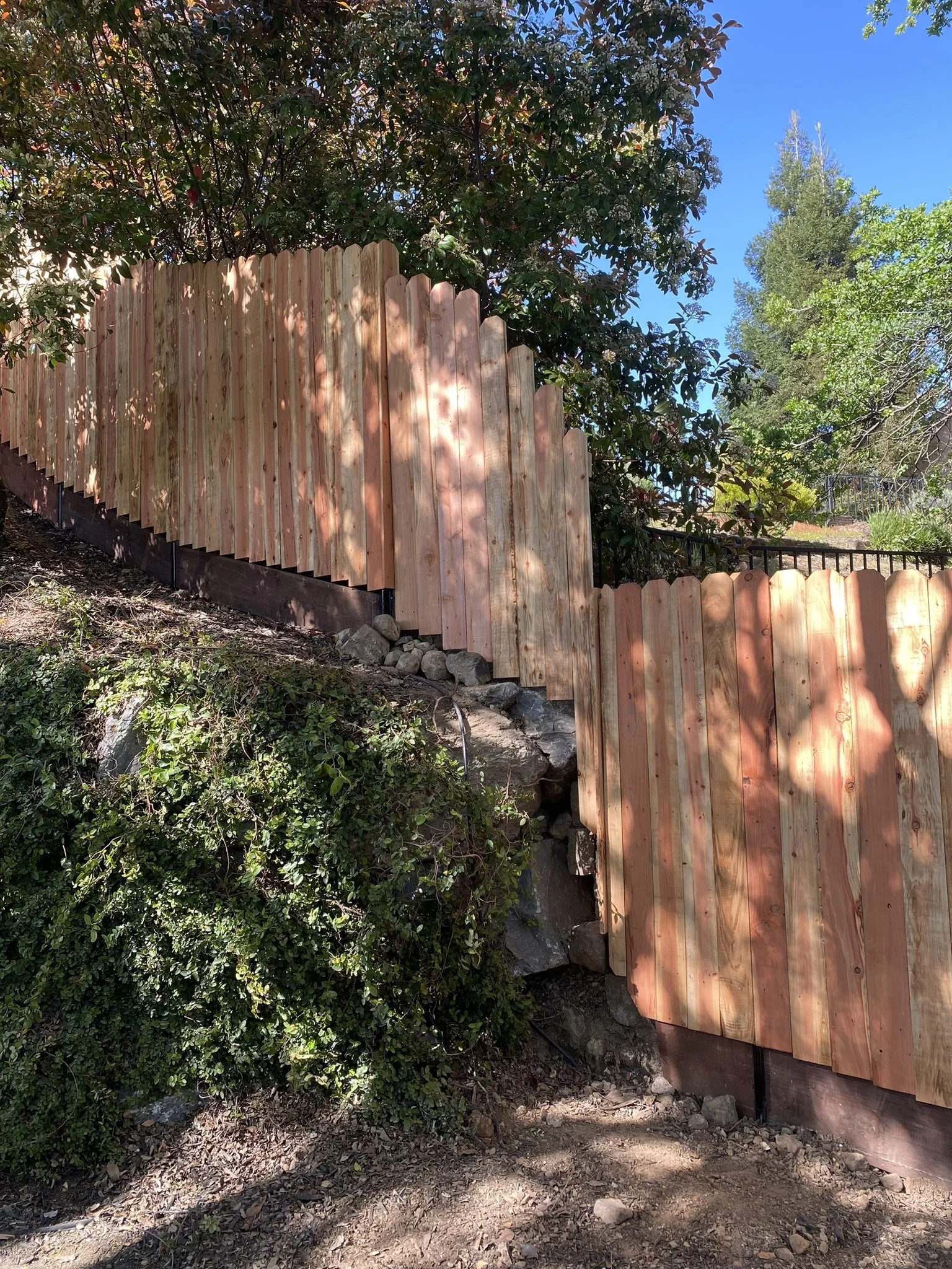 Dorrington Fence Replacement