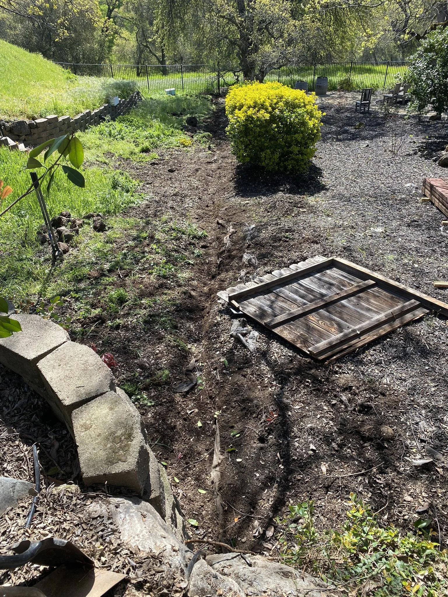 Dorrington Fence Replacement