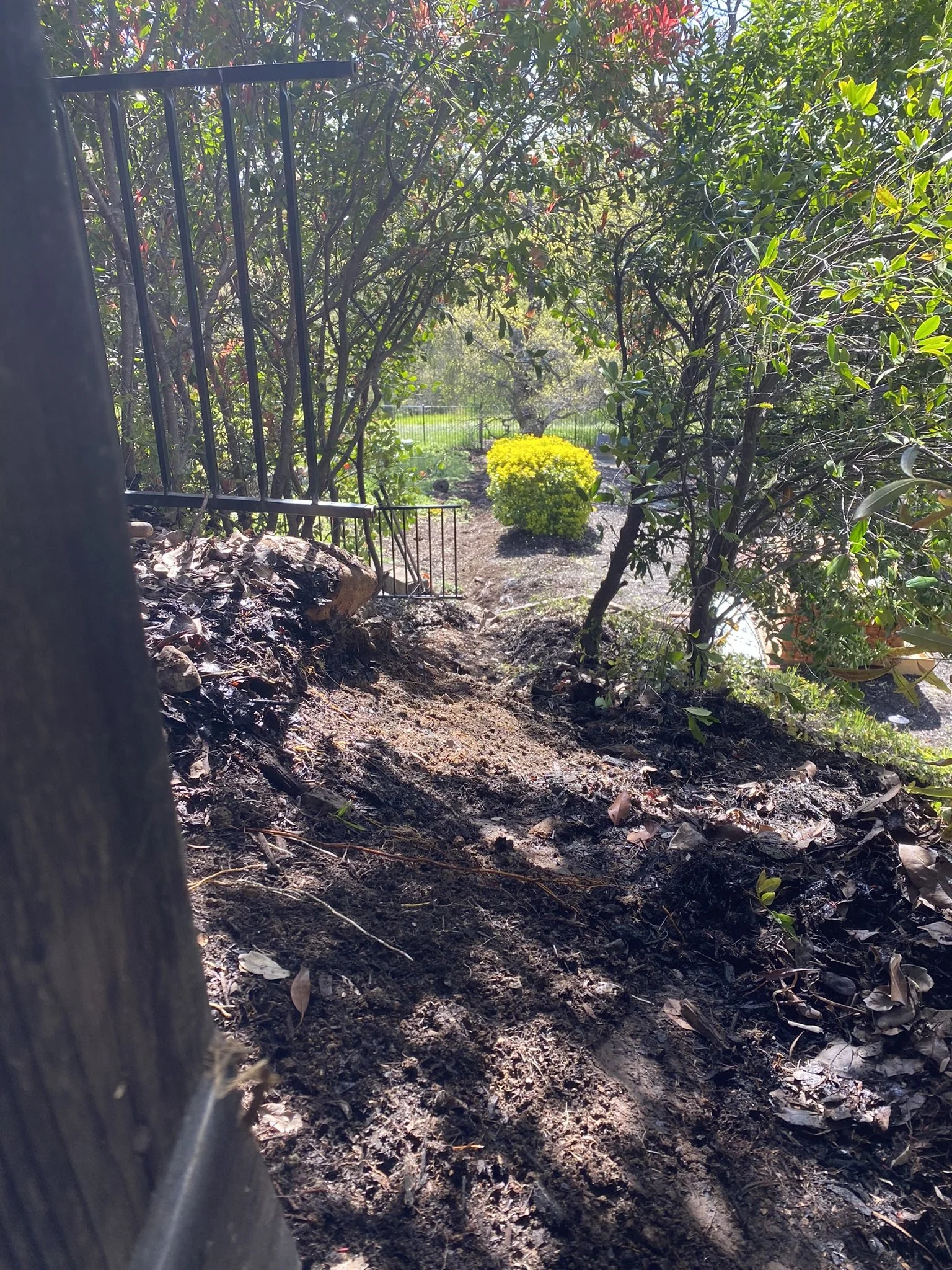 Dorrington Fence Replacement