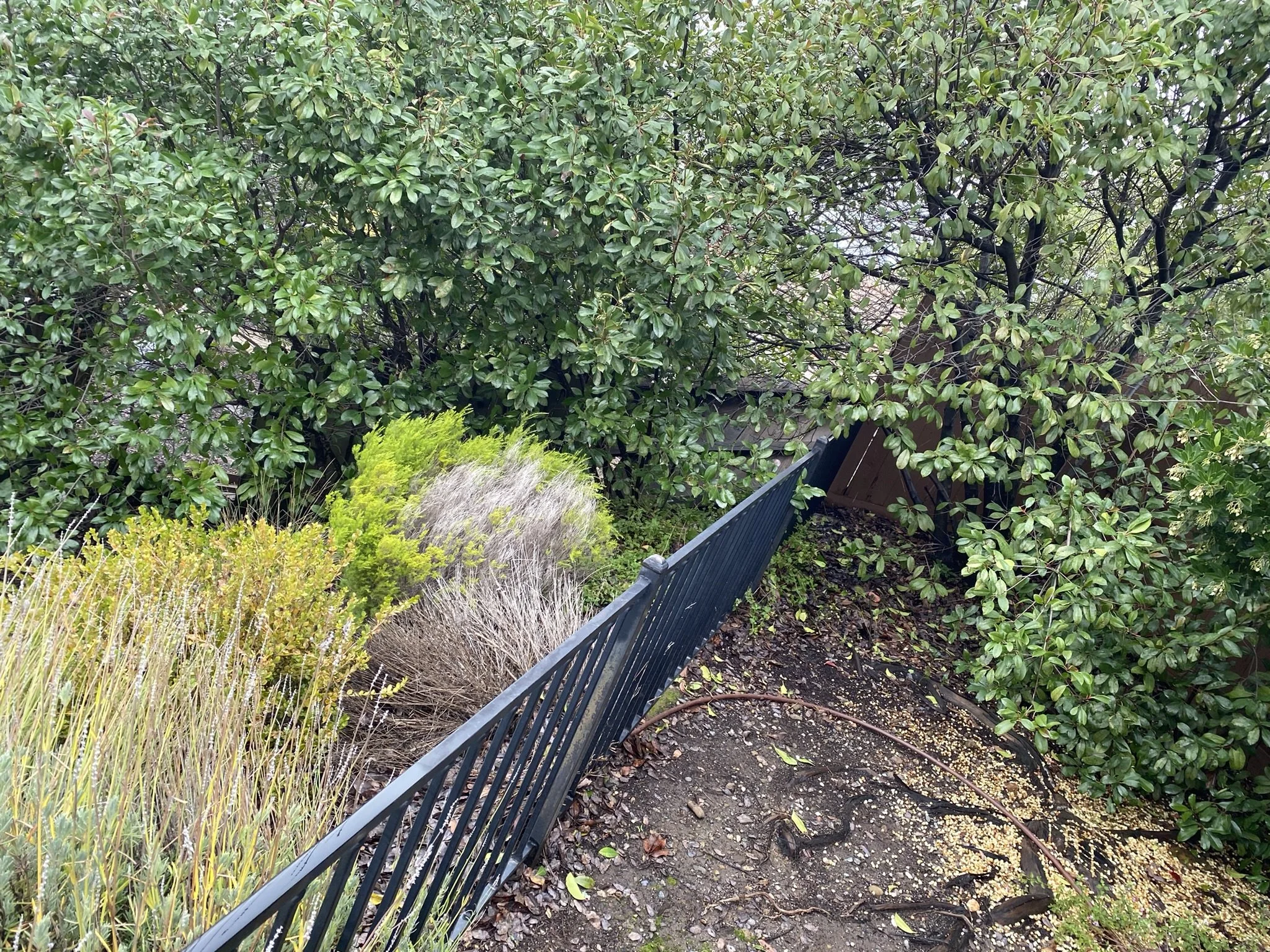 Dorrington Fence Replacement