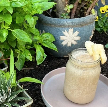 A mason jar filled with a creamy beverage garnished with pineapple, placed on a pink plate outdoors amidst green plants and a blue flowerpot.