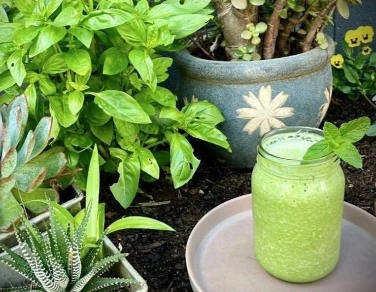 A garden with green plants, a blue flowerpot, and a jar of green smoothie garnished with mint leaves on a beige tray.