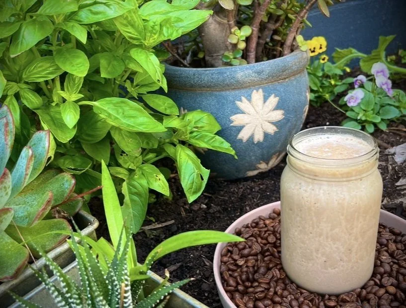 A mason jar filled with a light-colored beverage, placed on a pink saucer surrounded by coffee beans, in a garden with various green plants and blooming flowers.