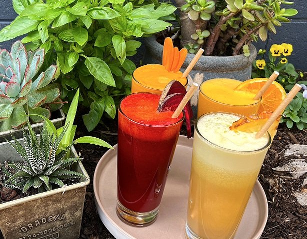 Three colorful fruit smoothies in glasses with straws, garnished with orange slices and fruit pieces, surrounded by potted plants and succulents outdoors.