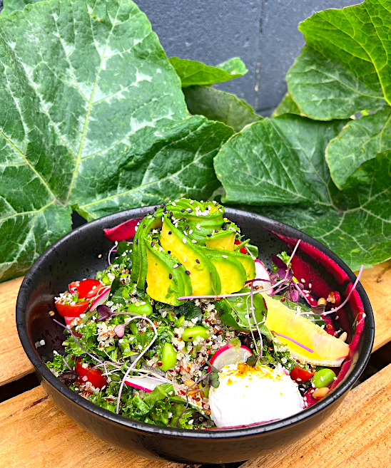 Vegan poke bowl with sliced avocado, cherry tomatoes, radishes, cucumbers, microgreens, lemon wedge, and dollop of white sauce, set against green leafy plants and a wooden surface.