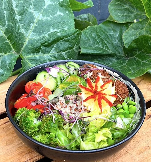 Bowl filled with assorted fresh vegetables including broccoli, tomatoes, cucumbers, sprouts, and leafy greens, on a wooden surface with large green leaves in the background.