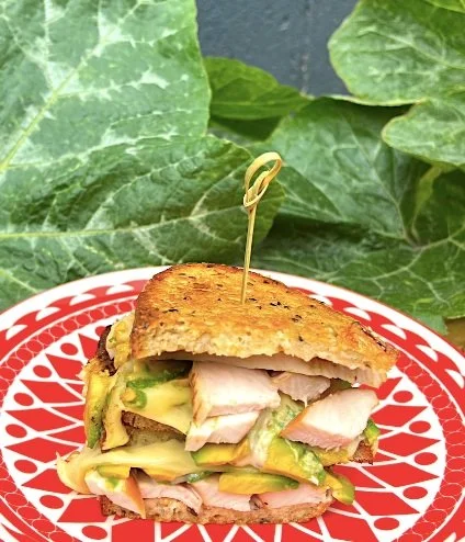 Sandwich with sliced turkey and avocado on a red and white patterned plate, with green leafy plants in the background.
