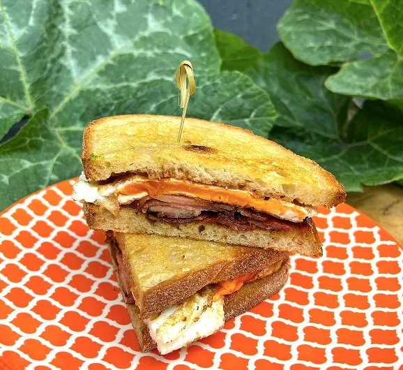 Close-up of a stacked sandwich on a decorative orange and white plate, with leafy green plants in the background.