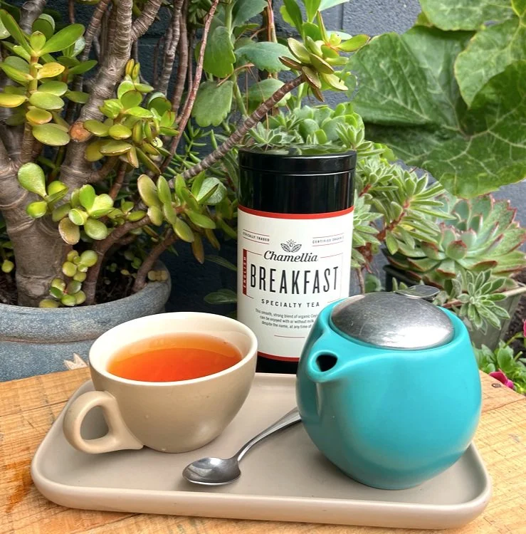 A cup of tea, a jar of chamellia breakfast specialty tea, a small teal teapot, and a spoon on a rectangular tray, with potted succulents and large green plants in the background.