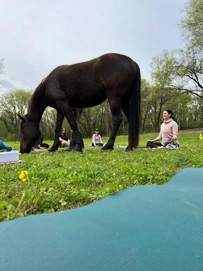 Sunset Yoga with the Ponies