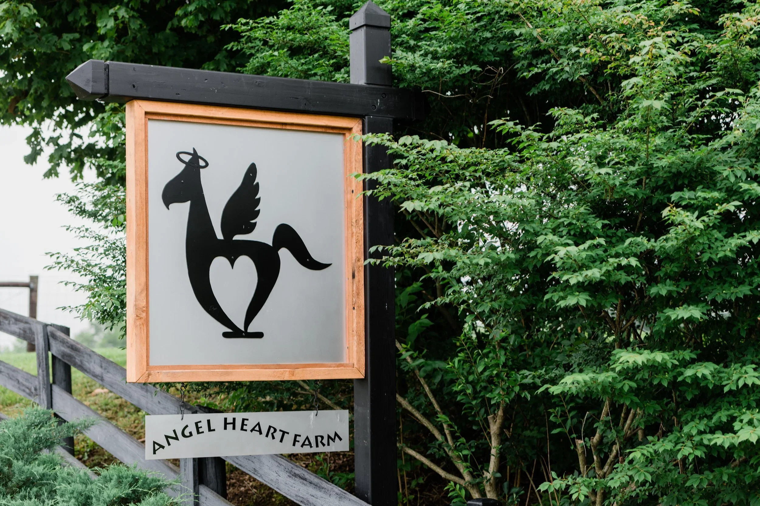 Angel Heart Farm is Celebrating 24 Years! Donate $24 Today!
