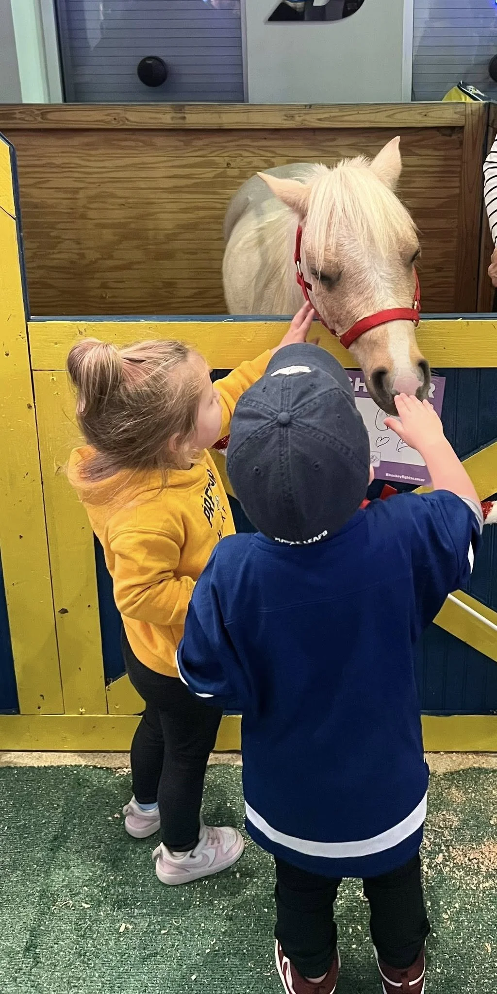 Hockey Fights Cancer Night 2