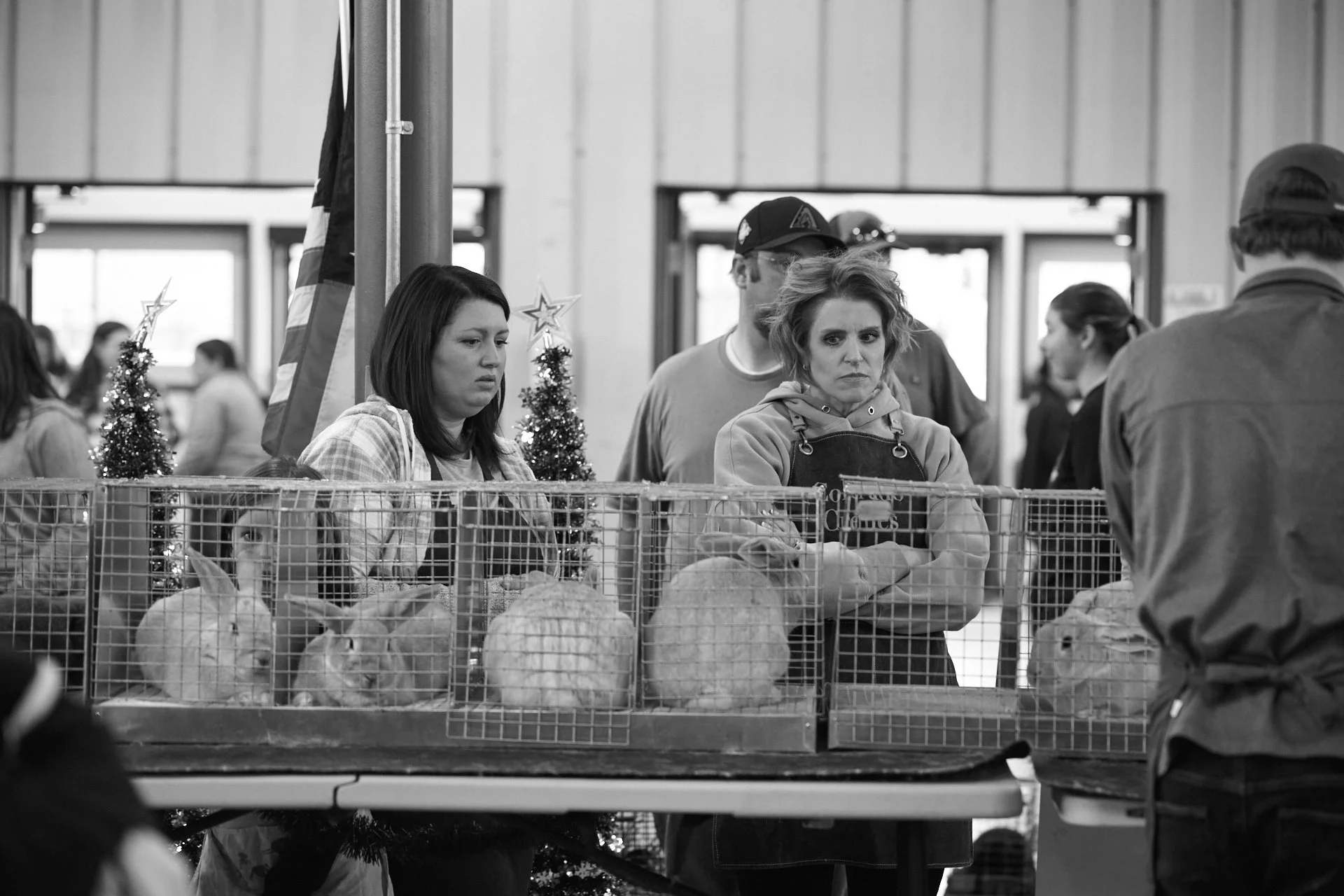 People standing behind a caged rabbits at a 4H rabbit show, an American flag and small Christmas trees in the background.