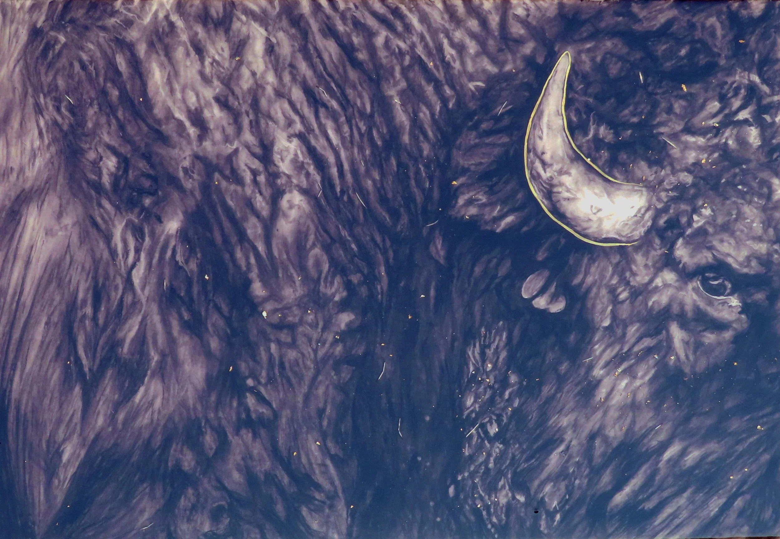 A painting of a buffalo who stares at the viewer with one eye.